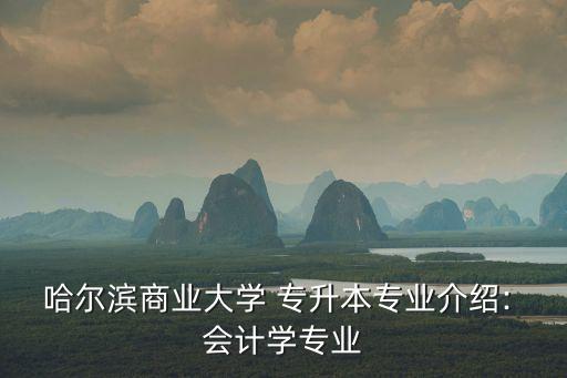 哈爾濱商業(yè)大學(xué) 專升本專業(yè)介紹: 會(huì)計(jì)學(xué)專業(yè)