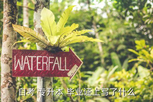 專(zhuān)升本的畢業(yè)證書(shū)