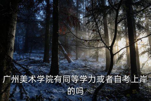 廣州美術(shù)學院有同等學力或者自考上岸的嗎