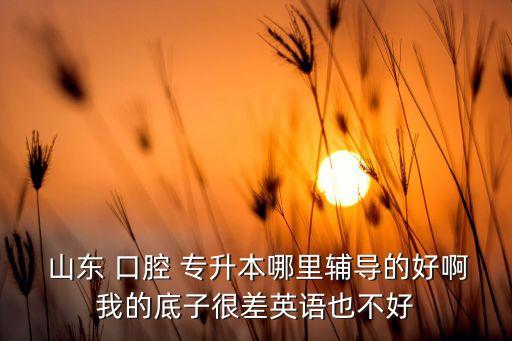  山東 口腔 專升本哪里輔導(dǎo)的好啊我的底子很差英語(yǔ)也不好