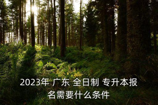 2023年 廣東 全日制 專升本報(bào)名需要什么條件
