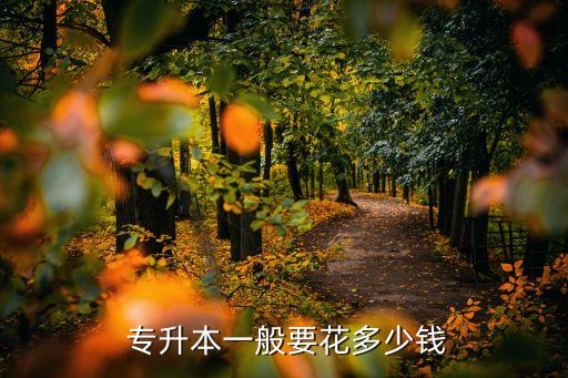  專升本一般要花多少錢