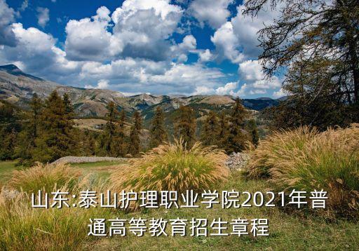 山東:泰山護理職業(yè)學院2021年普通高等教育招生章程