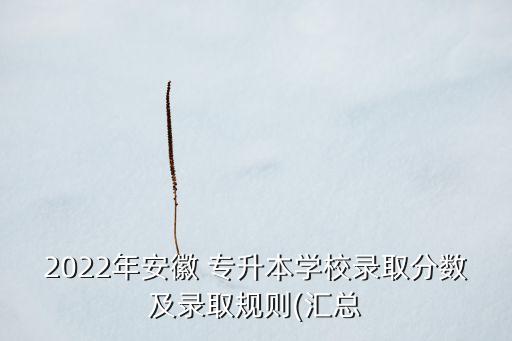 2022年安徽 專升本學(xué)校錄取分?jǐn)?shù)及錄取規(guī)則(匯總