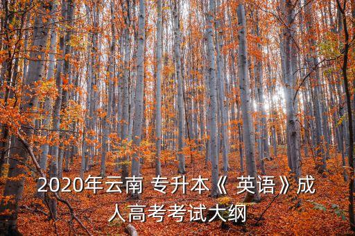 2020年云南 專升本《 英語(yǔ)》成人高考考試大綱