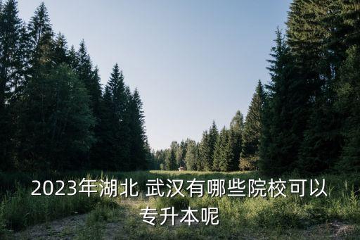 2023年湖北 武漢有哪些院?？梢詫Ｉ灸? class=