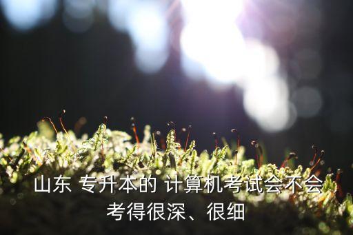  山東 專升本的 計(jì)算機(jī)考試會(huì)不會(huì)考得很深、很細(xì)