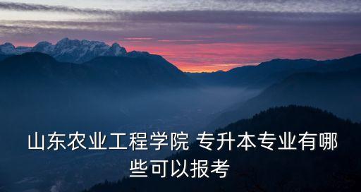  山東農業(yè)工程學院 專升本專業(yè)有哪些可以報考