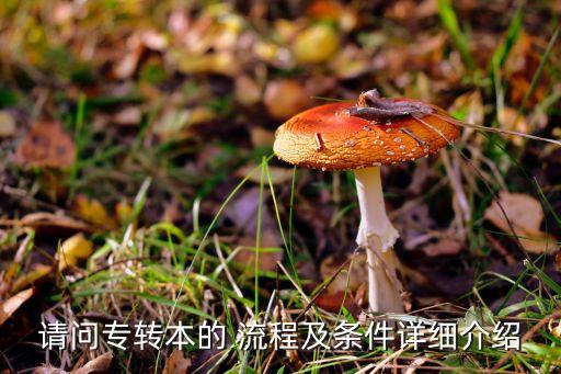 江蘇專(zhuān)升本流程