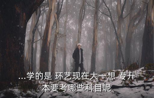 ...學的是 環(huán)藝現(xiàn)在大一想 專升本要考哪些科目呢