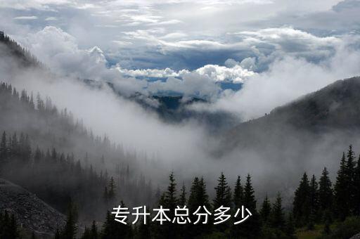  專升本總分多少