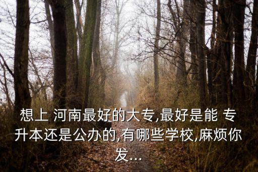 想上 河南最好的大專(zhuān),最好是能 專(zhuān)升本還是公辦的,有哪些學(xué)校,麻煩你發(fā)...