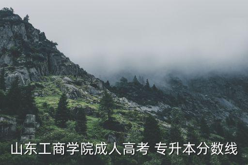 山東工商學院成人高考 專升本分數(shù)線
