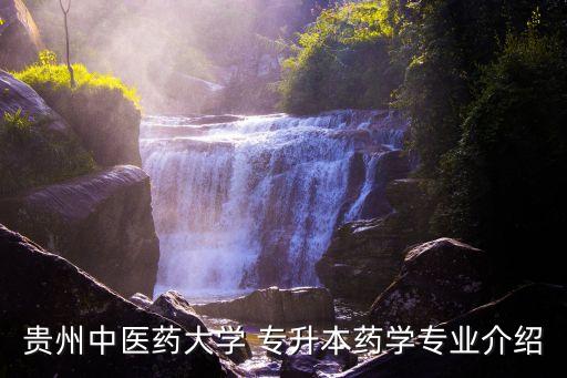 貴州中醫(yī)藥大學 專升本藥學專業(yè)介紹