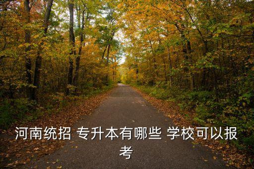 河南統(tǒng)招 專升本有哪些 學(xué)?？梢詧?bào)考