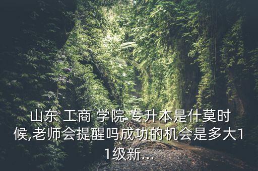 山東工商學院專升本率