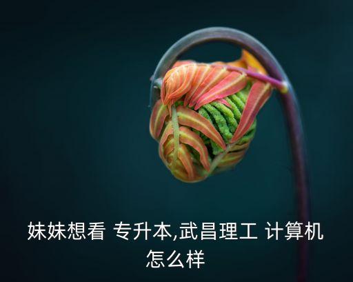 妹妹想看 專升本,武昌理工 計算機怎么樣