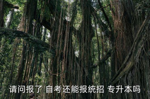 請(qǐng)問(wèn)報(bào)了 自考還能報(bào)統(tǒng)招 專升本嗎