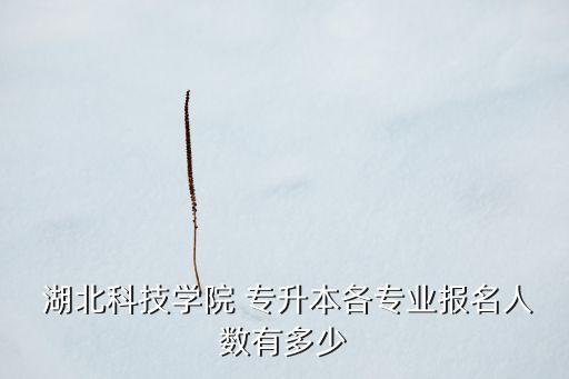  湖北科技學院 專升本各專業(yè)報名人數(shù)有多少