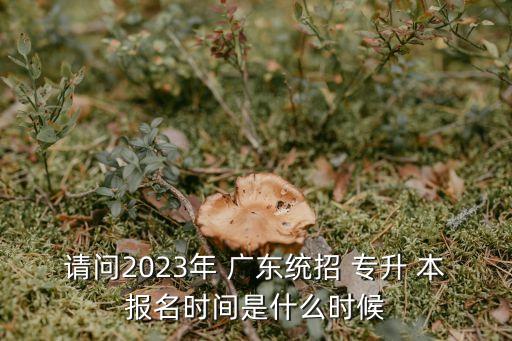請(qǐng)問(wèn)2023年 廣東統(tǒng)招 專升 本報(bào)名時(shí)間是什么時(shí)候