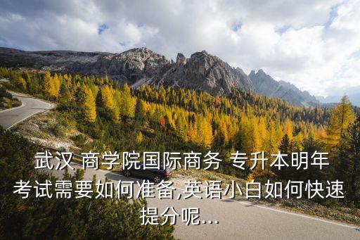  武漢 商學(xué)院國際商務(wù) 專升本明年考試需要如何準(zhǔn)備,英語小白如何快速提分呢...