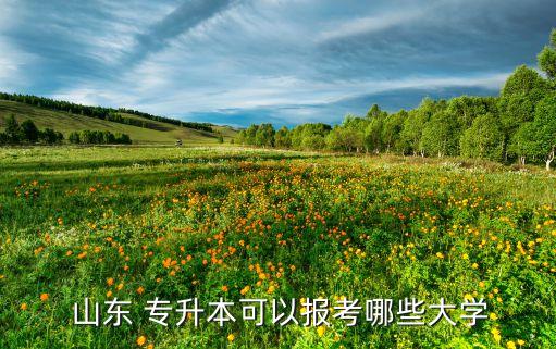 2017山東統(tǒng)招專升本招生計(jì)劃,黑龍江統(tǒng)招專升本招生計(jì)劃
