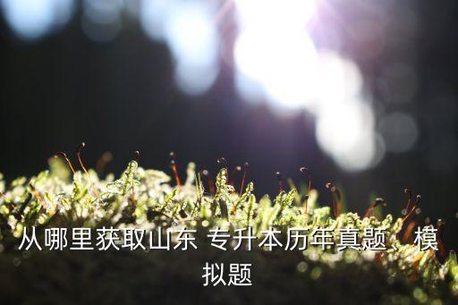 從哪里獲取山東 專升本歷年真題、模擬題