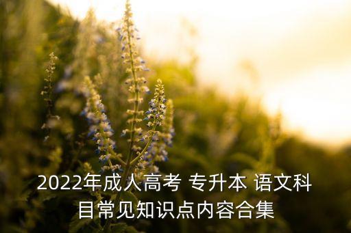 天津市一學(xué)歷專升本語(yǔ)文試題