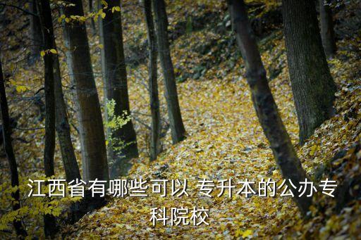  江西省有哪些可以 專升本的公辦?？圃盒? class=