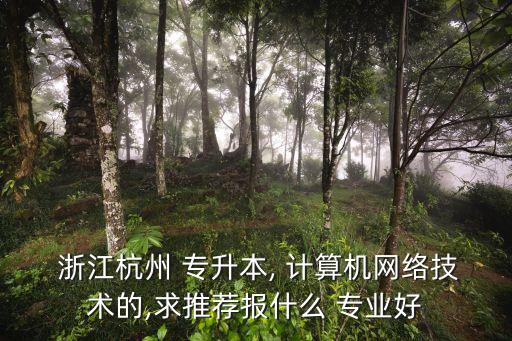  浙江杭州 專升本, 計算機網(wǎng)絡技術的,求推薦報什么 專業(yè)好