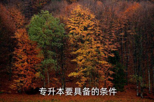  專(zhuān)升本要具備的條件