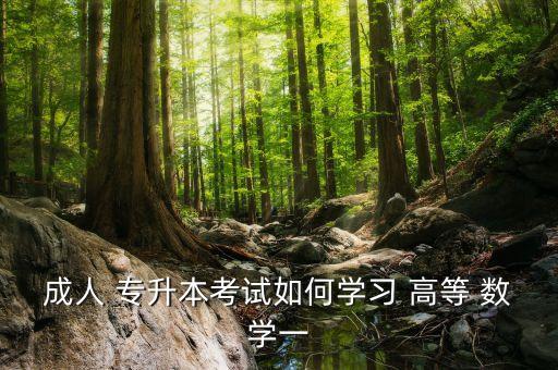 專升本高等數學基礎視頻教程,成人高考專升本高等數學一視頻教程
