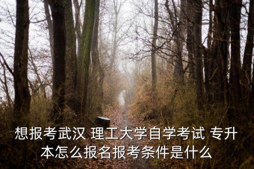 想報考武漢 理工大學自學考試 專升本怎么報名報考條件是什么