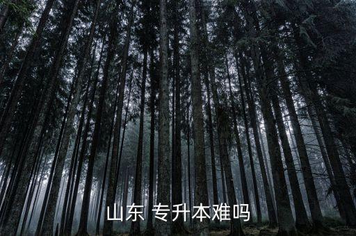 山東 專升本難嗎