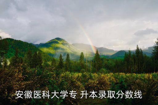 安徽醫(yī)科大學(xué)專 升本錄取分數(shù)線
