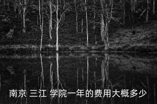 南京 三江 學(xué)院一年的費用大概多少