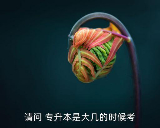 請(qǐng)問(wèn) 專(zhuān)升本是大幾的時(shí)候考