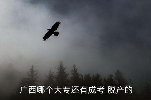  廣西哪個(gè)大專還有成考 脫產(chǎn)的