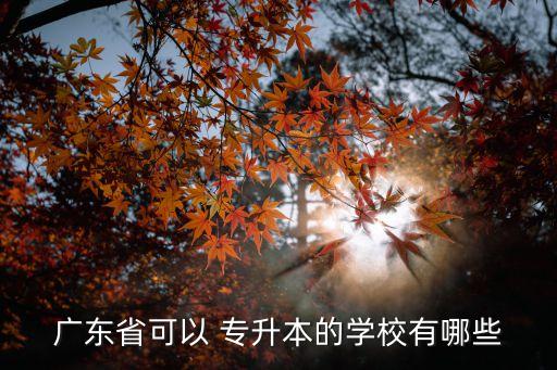 廣東省可以 專(zhuān)升本的學(xué)校有哪些