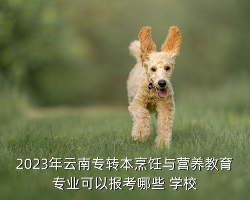 2023年云南專轉(zhuǎn)本烹飪與營(yíng)養(yǎng)教育專業(yè)可以報(bào)考哪些 學(xué)校
