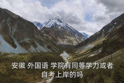 安徽 外國語 學院有同等學力或者自考上岸的嗎