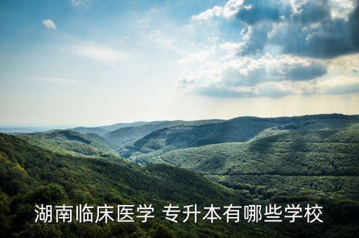 湖南臨床醫(yī)學 專升本有哪些學校