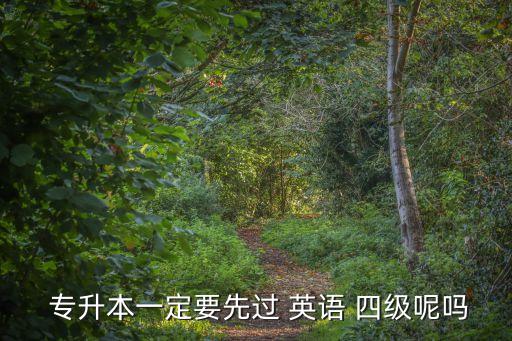  專升本一定要先過(guò) 英語(yǔ) 四級(jí)呢嗎