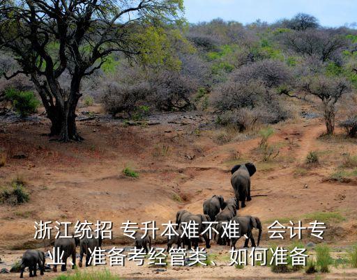  浙江統(tǒng)招 專升本難不難、 會計專業(yè)、準備考經(jīng)管類、如何準備