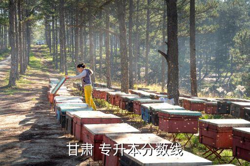 甘肅 專升本分數(shù)線