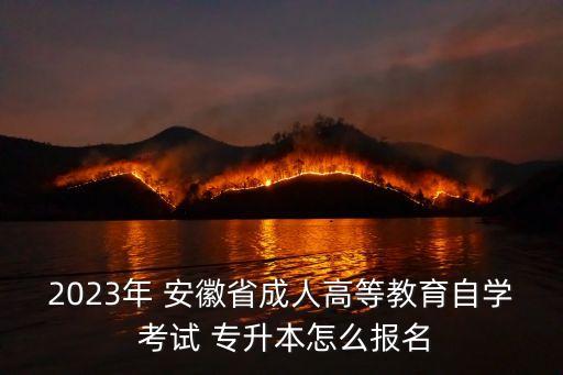 2023年 安徽省成人高等教育自學 考試 專升本怎么報名