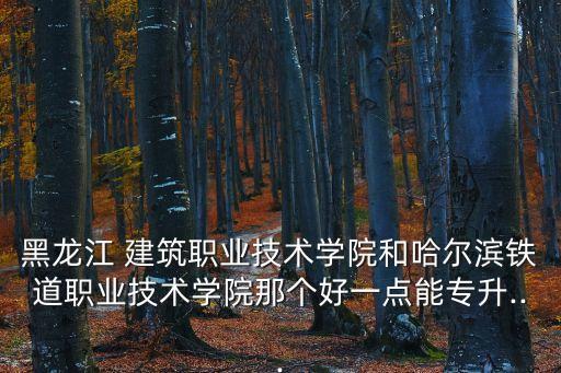 黑建筑可以專(zhuān)升本嗎,建筑專(zhuān)業(yè)專(zhuān)升本考什么