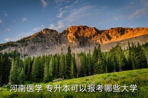 河南醫(yī)學 專升本可以報考哪些大學
