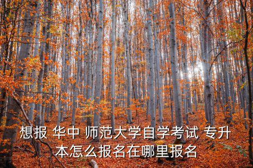 想報(bào) 華中 師范大學(xué)自學(xué)考試 專升本怎么報(bào)名在哪里報(bào)名