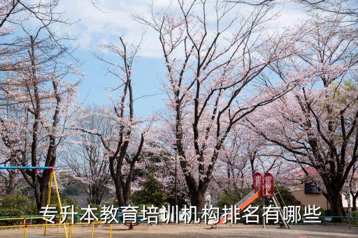  專升本教育培訓機構(gòu)排名有哪些